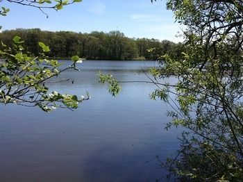 Cleveley Mere Luxury Waterside Lodges Scorton  Exteriör bild